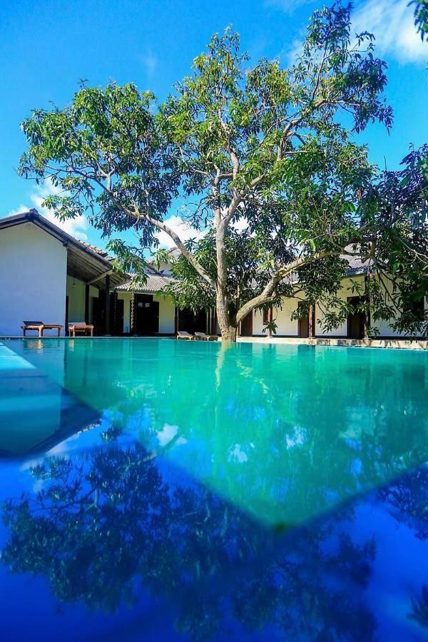 Stuart House Tangalle Exteriör bild